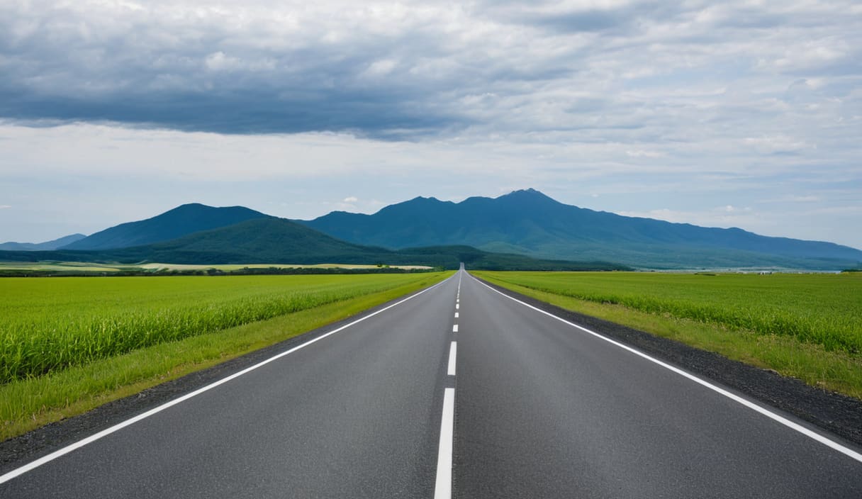 畑の中をまっすぐ伸びる道路と遠くの山